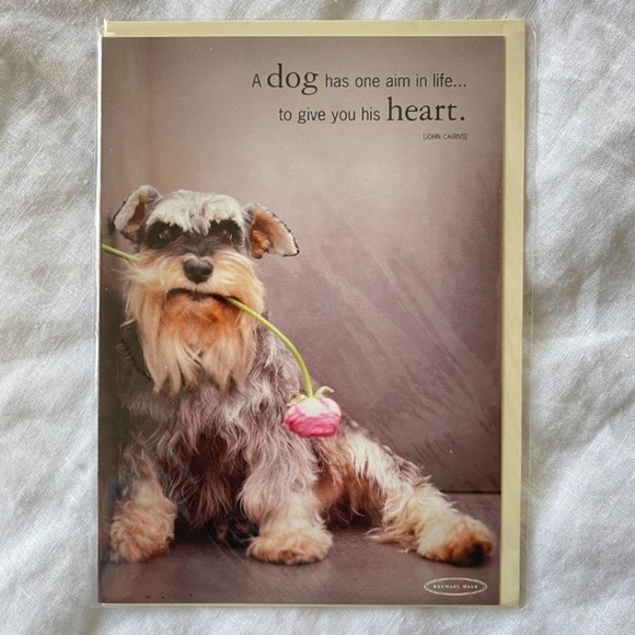 Rachael Hale Dog Stationary Greeting Card - Ziggy - Picture 3 of 4